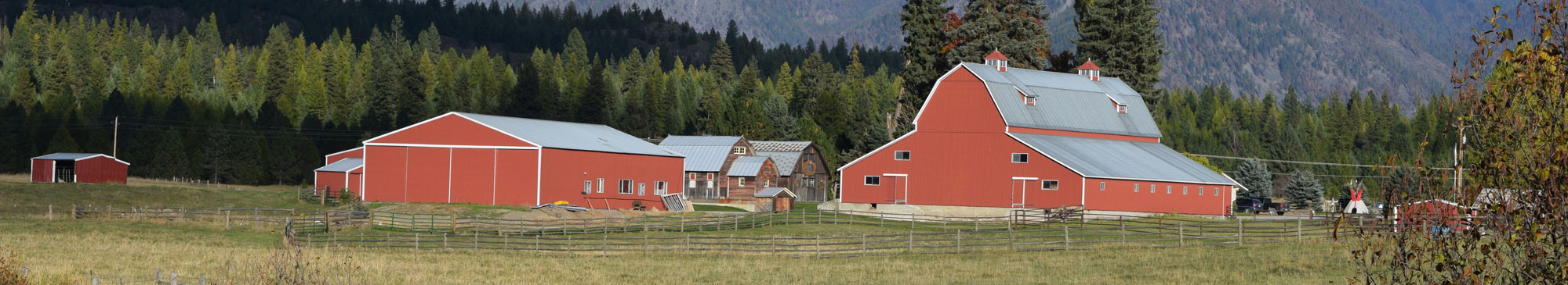 Create unforgettable memories at Little Beaver Creek Ranch